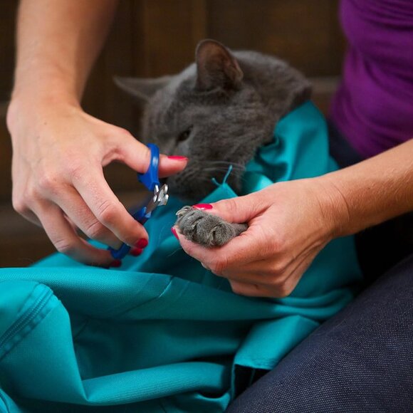 Leopard Print Cat Carrier - Picture 6 of 6